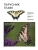 Импортировано из Wildberries Импортировано из Wildberries