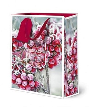 Сумка подарочная Лакарт В это самое прекрасное время в году - купить в магазине Кассандра, фото, 4607039040210, 