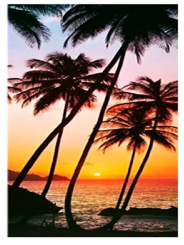 Картина по номерам 35Х88 ПАННО. ПАЛЬМЫ НА ЗАКАТЕ (18 цветов )- купить в магазине Кассандра, фото, 4660011887470, 