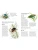 Импортировано из Wildberries Импортировано из Wildberries