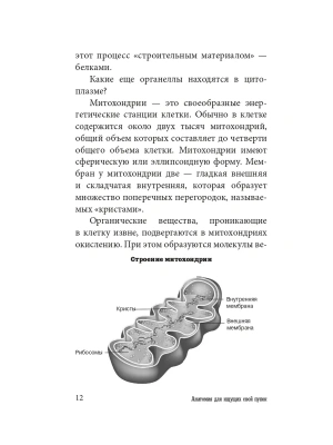 Импортировано из Wildberries