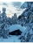 Импортировано из Wildberries Импортировано из Wildberries