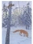 Импортировано из Wildberries Импортировано из Wildberries