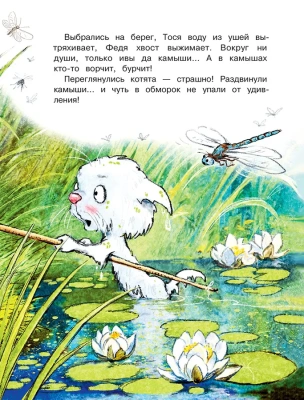 Как Федя, Вася и Тося на рыбалку ходили — фото, ISBN 9785080070549