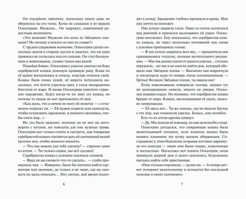 Коты-воители. Цикл "Видение теней". Расколотое небо. Хантер.- купить в магазине Кассандра, фото, 9785090941693, 