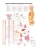 Импортировано из Wildberries Импортировано из Wildberries