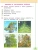 Импортировано из Wildberries Импортировано из Wildberries