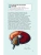 Импортировано из Wildberries Импортировано из Wildberries