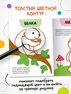 Раскраски с цветным контуром. В лесу — фото, ISBN 9785431537509