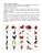 Импортировано из Wildberries Импортировано из Wildberries