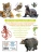 Импортировано из Wildberries Импортировано из Wildberries