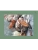 Импортировано из Wildberries Импортировано из Wildberries
