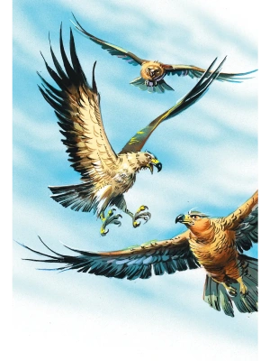 Импортировано из Wildberries
