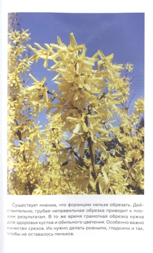 Энциклопедия садовой обрезки- купить в магазине Кассандра, фото, 9785171527327, 
