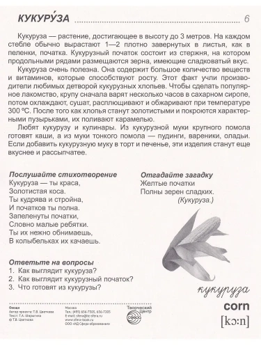 Дем. картинки СУПЕР Овощи.16 демонстр.картинок с текстом(173х220мм)- купить в магазине Кассандра, фото, 9785994909744, 