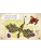 Импортировано из Wildberries Импортировано из Wildberries