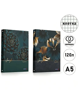 Тетрадь на кольцах А5 120л клетка " Светоч " Бархатная роскошь, клетка, офсет, обложка - мелованный ка - купить в магазине Кассандра, фото, 4630082394696, 