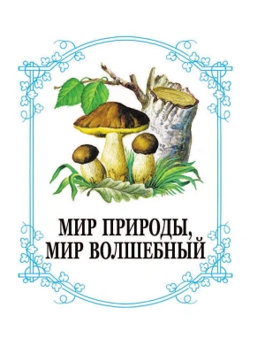 Импортировано из Wildberries