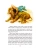 Импортировано из Wildberries Импортировано из Wildberries