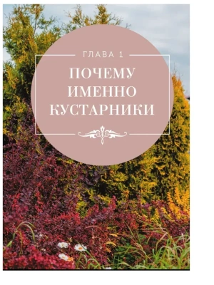 Фотография из отзыва покупателя