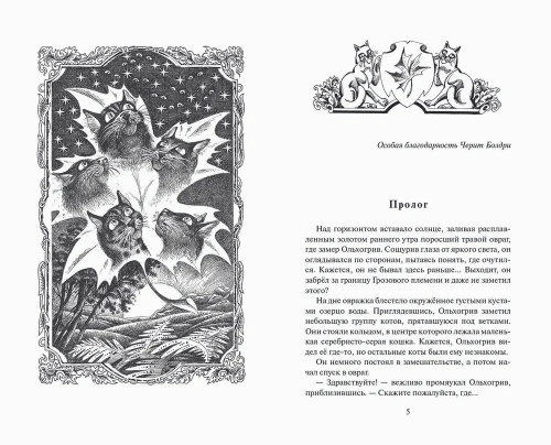 Коты-воители. Цикл "Видение теней". Расколотое небо. Хантер.- купить в магазине Кассандра, фото, 9785090941693, 