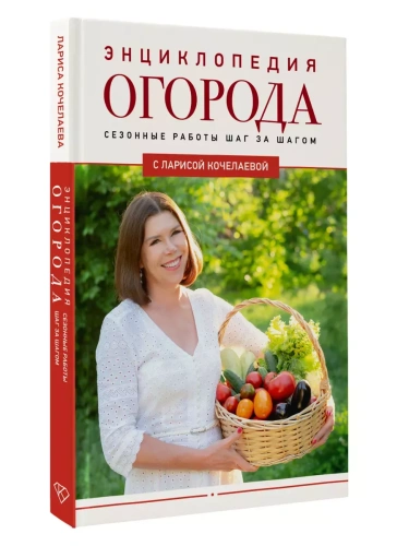 ������������ ������� � ������� ����������. �������� ������ ��� �� �����- ������ � �������� ���������, ����, 9785171620394, 