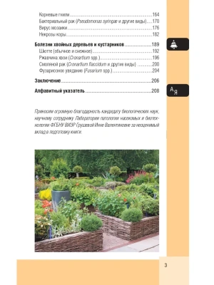 Фотография из отзыва покупателя