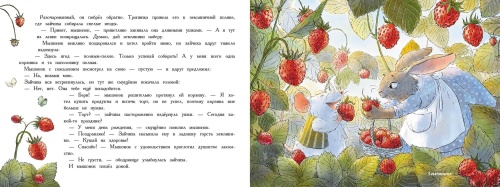 Ароматные книги.День рождение мышонка. Разноцветная сказка.ДХЛ.- купить в магазине Кассандра, фото, 9785995139973, 