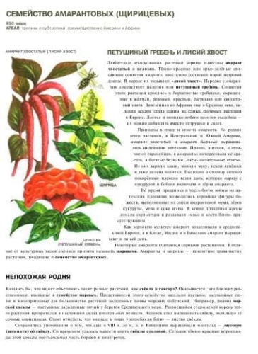 Полная энциклопедия.Растения- купить в магазине Кассандра, фото, 9785699886951, 