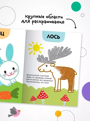 Раскраски с цветным контуром. В лесу — фото, ISBN 9785431537509