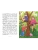 Импортировано из Wildberries Импортировано из Wildberries