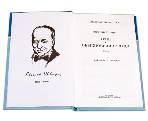 Тень, Обыкновенное чудо- купить в магазине Кассандра, фото, 9785080075452, 