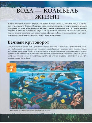 Фотография из отзыва покупателя