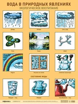 Развивающие плакаты. Вода в природных явлениях. Экологическое воспитание - купить в магазине Кассандра, фото, 9785431530463, 