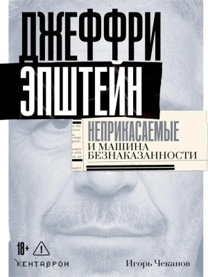 Джеффри Эпштейн. Неприкасаемые и машина безнаказанности — фото, ISBN 9785386156848