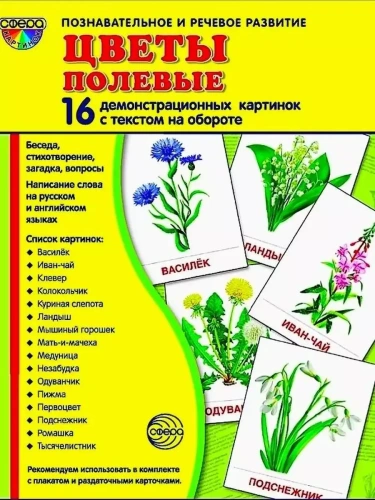 Дем. картинки СУПЕР Цветы полевые.16 демонстр.картинок с текстом(173х220мм)- купить в магазине Кассандра, фото, 9785994910207, 