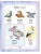 Импортировано из Wildberries Импортировано из Wildberries