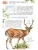 Импортировано из Wildberries Импортировано из Wildberries