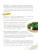 Импортировано из Wildberries Импортировано из Wildberries