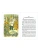 Импортировано из Wildberries Импортировано из Wildberries