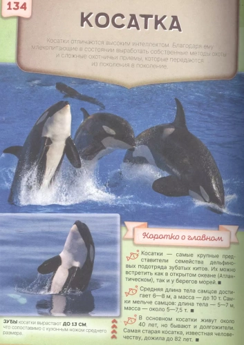 Первая книга о животных. 1000 фотографий- купить в магазине Кассандра, фото, 9785171352615, 