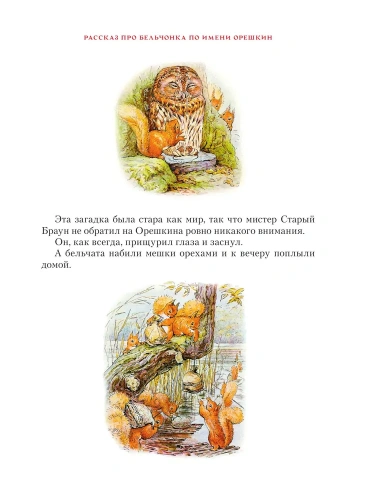 Зимняя книга кролика Питера- купить в магазине Кассандра, фото, 9785171343835, 