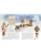 Импортировано из Wildberries Импортировано из Wildberries