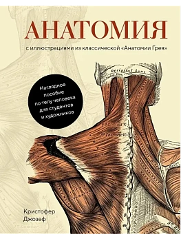 Анатомия  (с иллюстрациями из классической "Анатомии Грея") - купить в магазине Кассандра, фото, 9785389159969, 