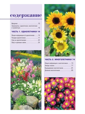 Фотография из отзыва покупателя