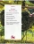 Импортировано из Wildberries Импортировано из Wildberries