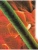 Импортировано из Wildberries Импортировано из Wildberries