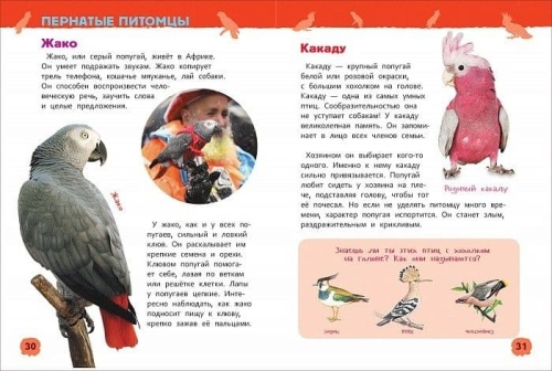 Энциклопедия для детского сада.Домашние питомцы- купить в магазине Кассандра, фото, 9785353084778, 