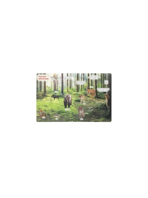 Импортировано из Wildberries