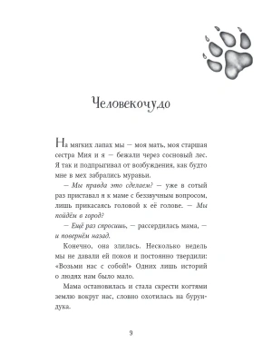 Импортировано из Wildberries